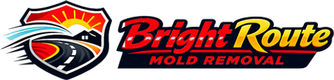 Bright Route Mold Removal